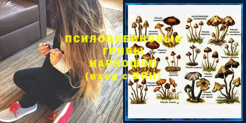 Галлюциногенные грибы Magic Shrooms  мега ссылка  Касли 